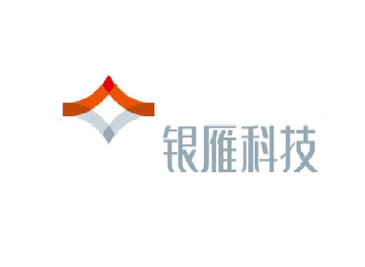 科技信息咨询与金融后台服务 企业数字化转型的双引擎